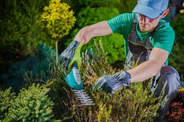 landscaping services Village Green